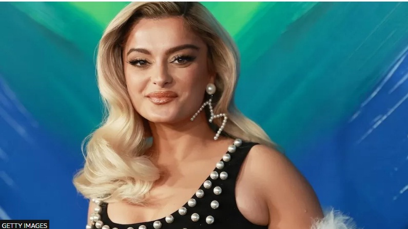 Bebe Rexha Struck on Head with Phone During Concert, Man Charged with Assault