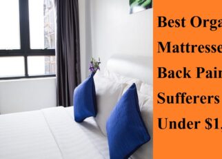 Best Organic Mattresses for Back Pain Sufferers Under $1,500