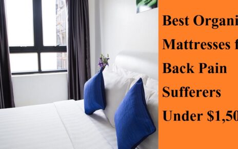 Best Organic Mattresses for Back Pain Sufferers Under $1,500