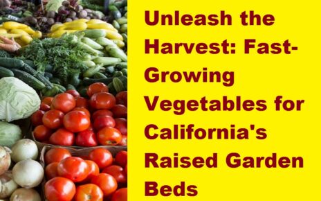 Fast-Growing Vegetables for California's Raised Garden Beds
