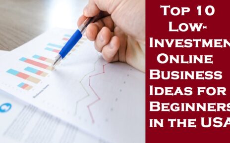 Top 10 Low-Investment Online Business Ideas for Beginners in the USA