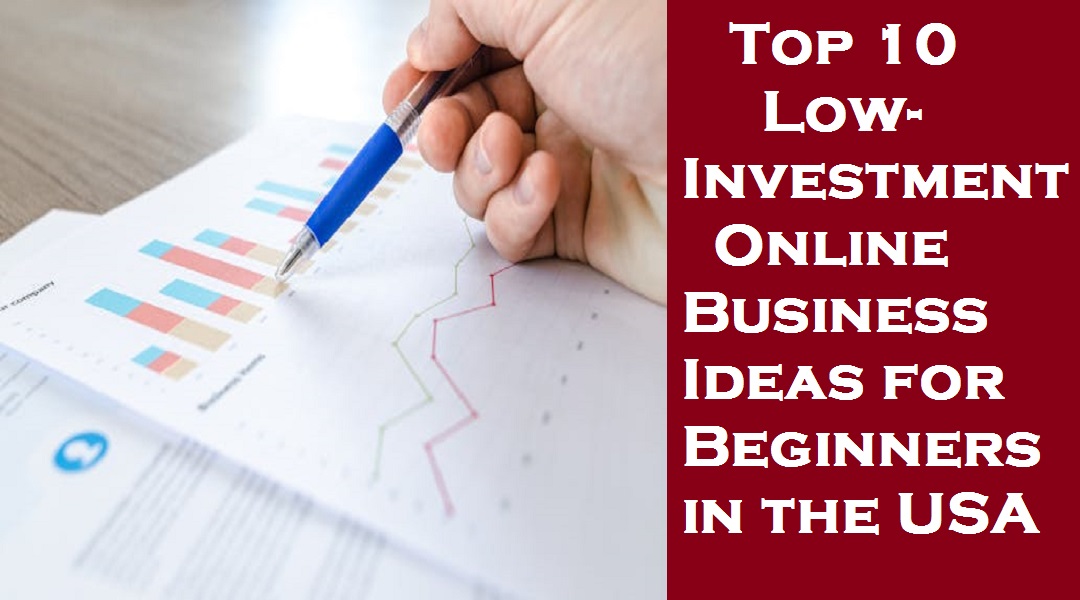 Top 10 Low-Investment Online Business Ideas for Beginners in the USA